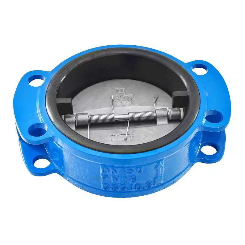 Check Valves ကိုရွေးချယ်ခြင်းအတွက်အဓိကအချက်များကဘာတွေလဲ