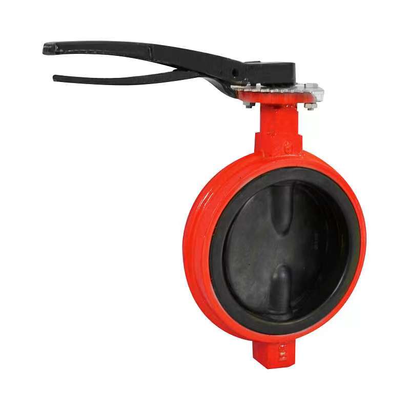 Check Valves ကိုရွေးချယ်သောအခါအဘယ်အချက်များကိုထည့်သွင်းစဉ်းစားသင့်သနည်း။