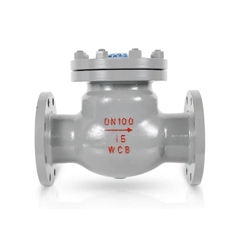 သံမဏိ swing flange စစ်ဆေးမှုအဆို့ရှင်